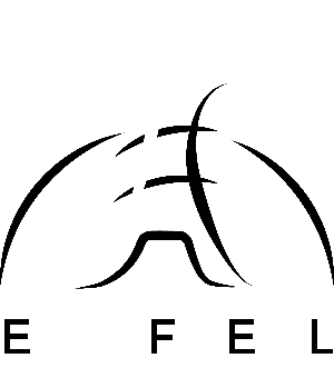 لوگوی برج فروشگاهی ایفل